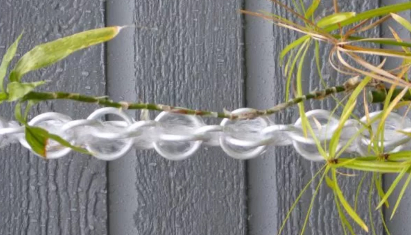 Feuilles mortes, vent et gel : comment préserver le fonctionnement d’une chaîne de pluie ?